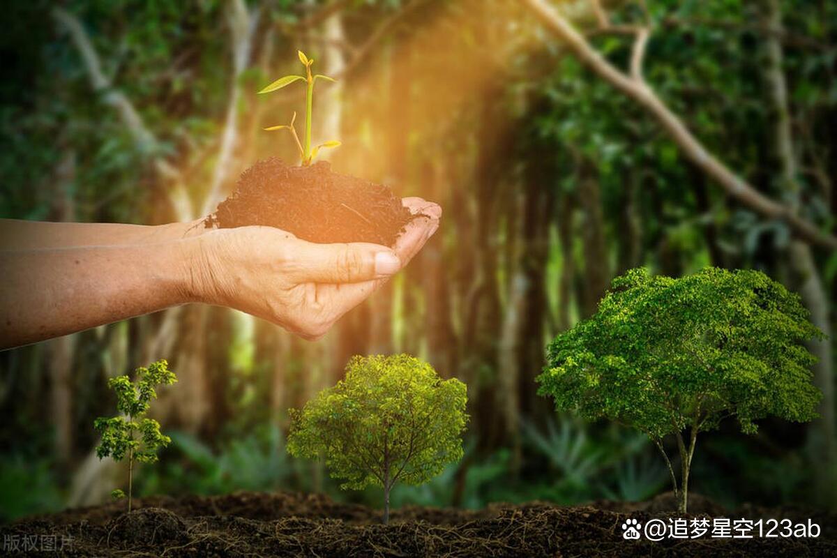 阿美尔新援期待与队友共同努力向前迈进